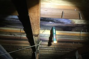 roof leak portland inspection